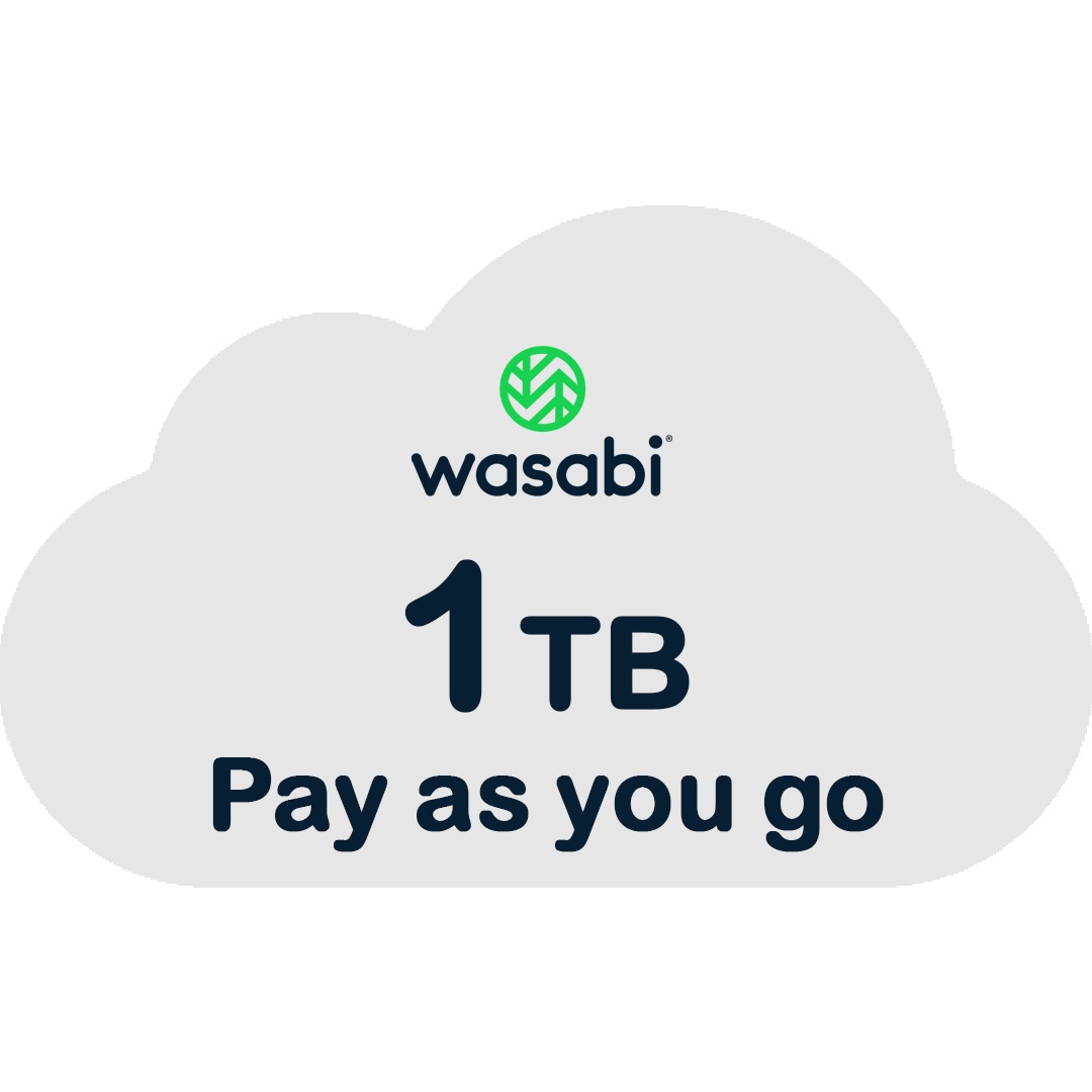 Wasabi Pay as You Go 1TB