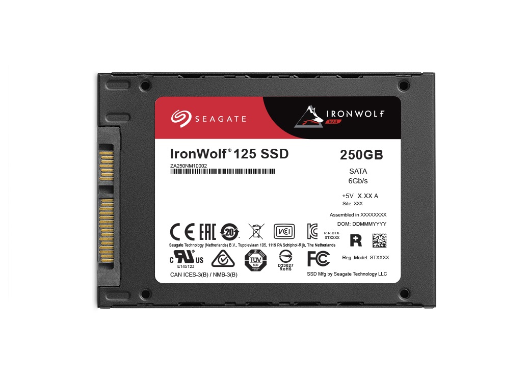 250GB Seagate IronWolf 125 SSD ZA250NM1A002